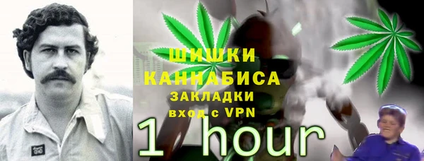 спиды Фёдоровский
