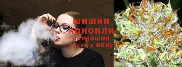 шишки Краснослободск