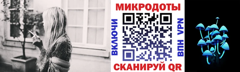 Псилоцибиновые грибы Psilocybe  как найти закладки  Шумиха 